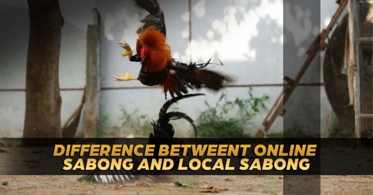 difference between online sabong and local sabong