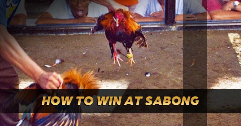how to win sabong