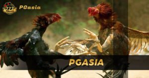 pgasia sabong