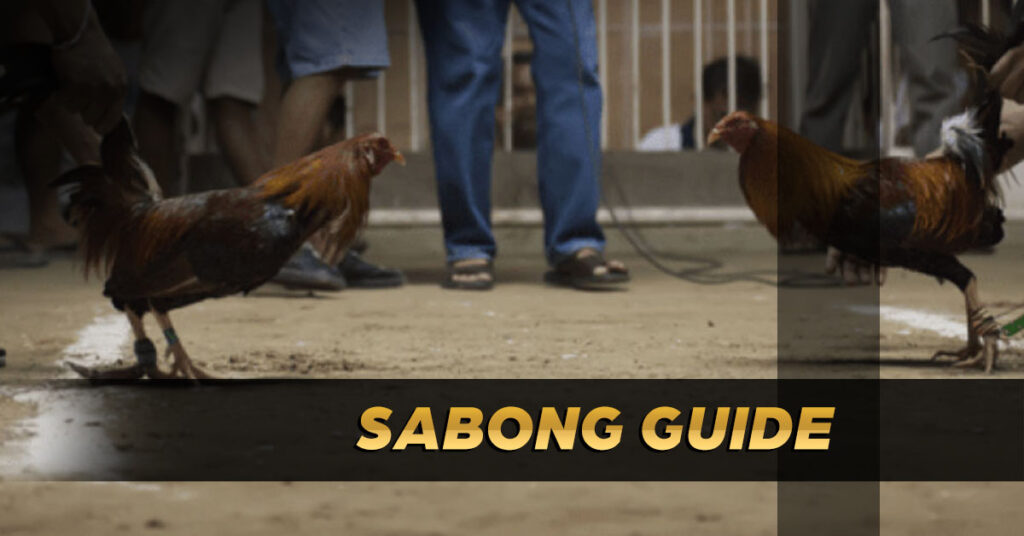 sabong guide