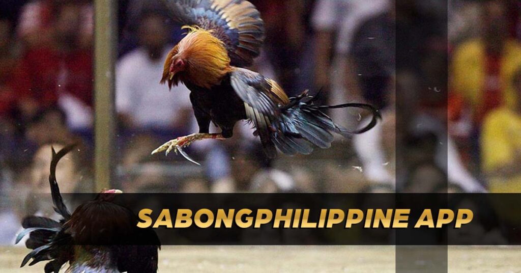 sabong philippines app
